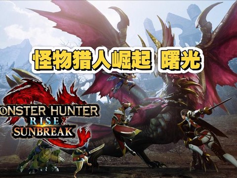 怪物猎人什么职业好玩