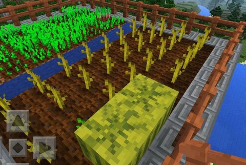 我的世界西瓜怎么收获[图2]