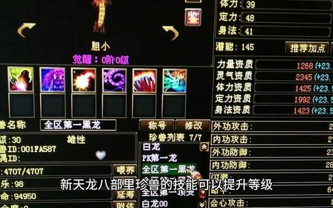 天龙八部怎么珍兽附体[图1]