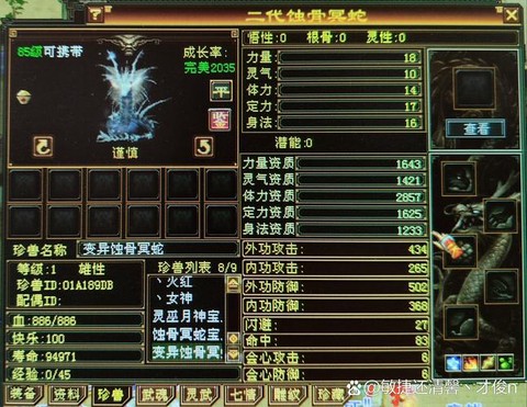 天龙八部天龙带什么宝宝[图2]