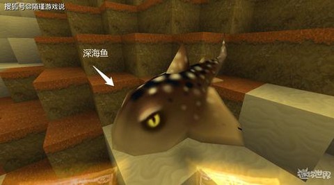 迷你世界都有什么鱼