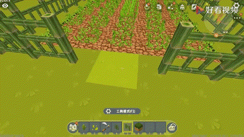 迷你世界树苗怎么种植