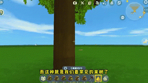 迷你世界树苗怎么种植[图1]