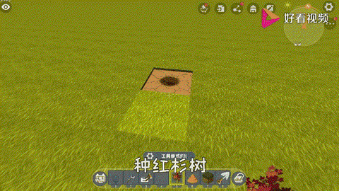 迷你世界树苗怎么种植[图2]