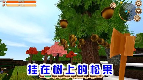 迷你世界怎么种松果